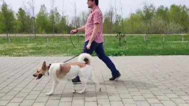Man walking his cute shepherd dog in spring park, closeup