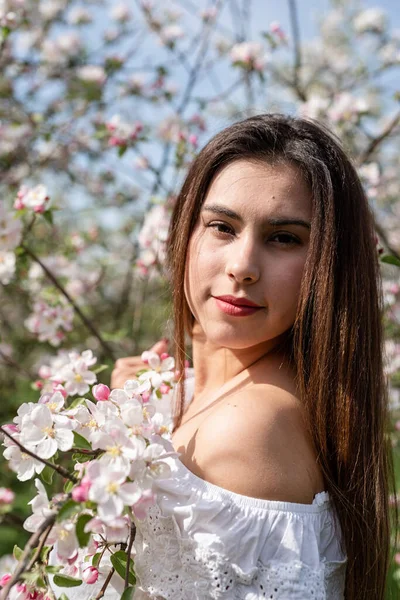 Spring concept. Nature.Young caucasian woman enjoying the flowering of an apple trees, walking in spring apple gardens
