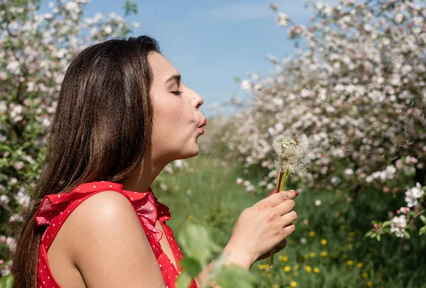 Spring concept. Nature.Young caucasian woman enjoying the flowering of an apple trees, walking in spring apple gardens