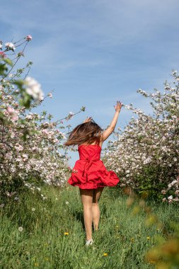 Spring concept. Nature. Young caucasian woman in red dress enjoying the flowering of an apple trees, walking in spring apple gardens