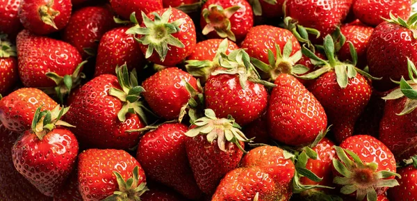 Fresh Yummy Strawberry texture Background. Organic summer fruit and berries, high angle view