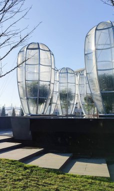 plastic greenhouse for pablic park trees, for winter season. krasnodar