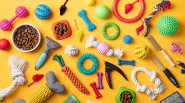 Pet care concept, various pet accessories and tools, toys, balls, brushes on yellow background, flat lay pattern