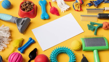 Pet care concept, various pet accessories and tools, toys, balls, brushes on yellow background with blank paper for mockup design,high angle