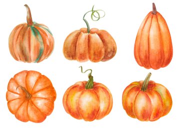Hand paint watercolor autumn set of pumpkins isolated on white background, watercolor illustration