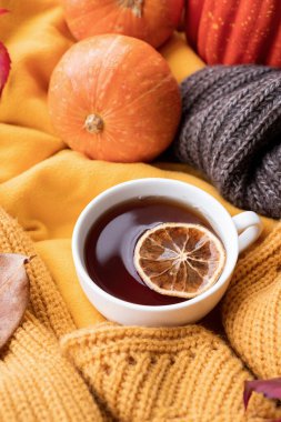 Hello fall. Cozy warm image. Cozy autumn composition, sweater weather. Pumpkins, hot tea with lemon and sweaters on window