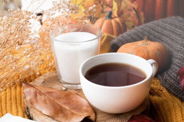 Hello fall. Cozy warm image. Cozy autumn composition, sweater weather. Pumpkins, hot black tea and sweaters on window