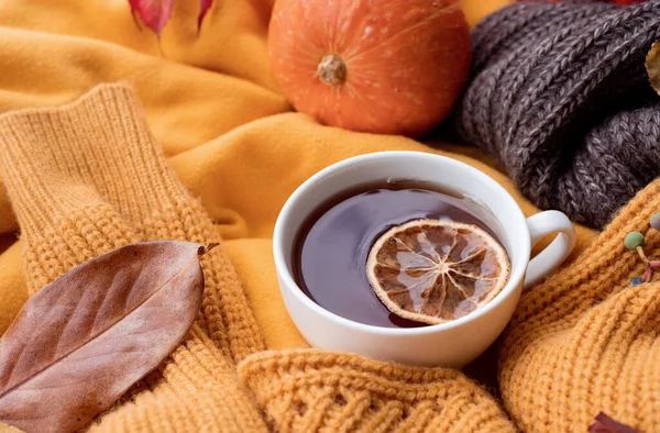 Hello fall. Cozy warm image. Cozy autumn composition, sweater weather. Pumpkins, hot tea with lemon and sweaters on window