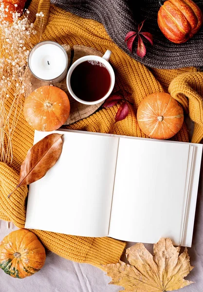 Hello fall. Cozy warm image. Top view opened blank book for mockup design with pumpkins and tea