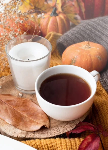 Hello fall. Cozy warm image. Cozy autumn composition, sweater weather. Pumpkins, hot black tea and sweaters on window