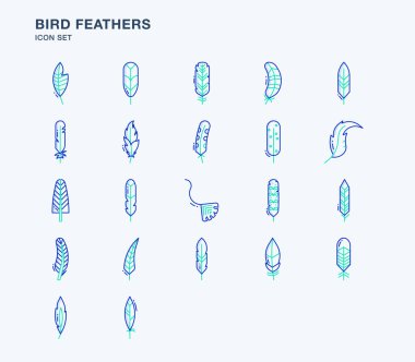 Kuş tüylerinin vektör çizgisi simgeleri