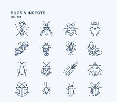 böcekler ve böcekler için vektör simgeleri