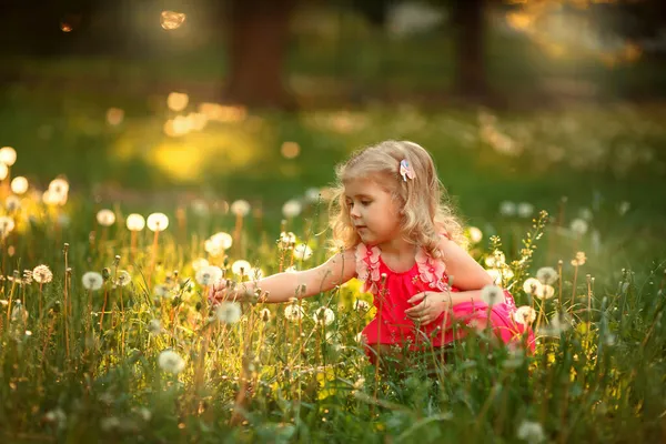 Blond girl is looking at the dandelion. — Stock Photo, Image