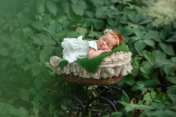 Bella neonata all'aperto si trova in una carrozza per bambini — Foto Stock