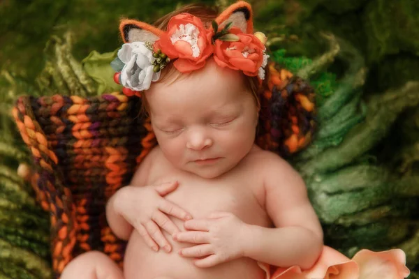 Bebê recém-nascido em roupa bonito raposa dorme em uma floresta verde com musgo — Fotografia de Stock