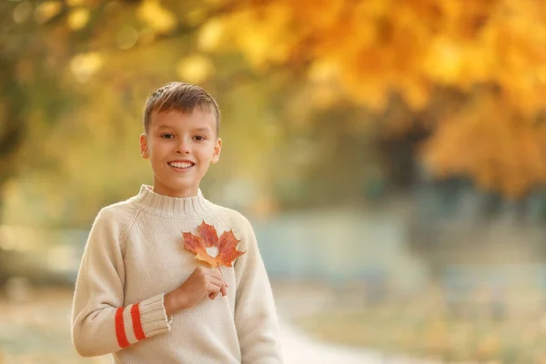The boy holding maple leaf heart-shaped near the chest
