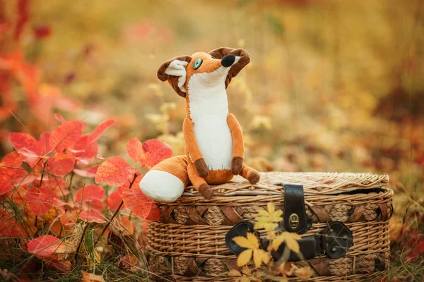Juguete de zorro rojo sentado en una cesta de picnic. — Foto de Stock