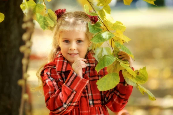 Malá blondýna dívka v podzimním parku. — Stock fotografie