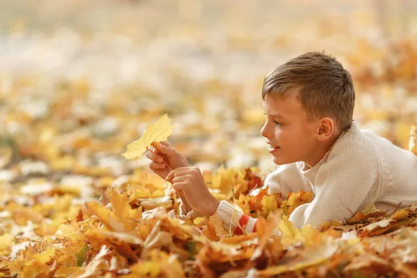 Menino feliz que põe em folhas de outono — Fotografia de Stock
