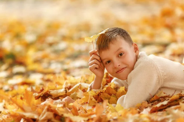 Menino feliz que põe em folhas de outono — Fotografia de Stock