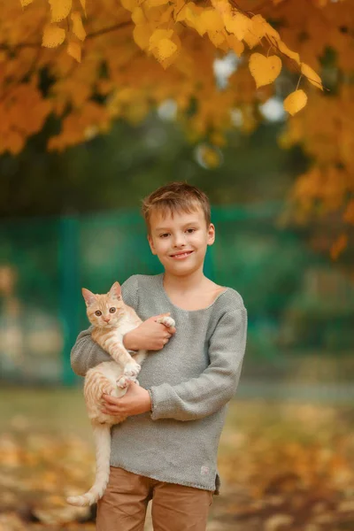 Ragazzo con gatti rossi nel giardino autunnale — Foto Stock