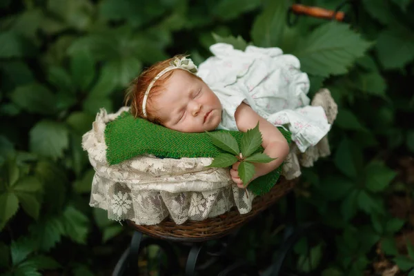 Novorozené dítě dívka venku leží v kočárku — Stock fotografie