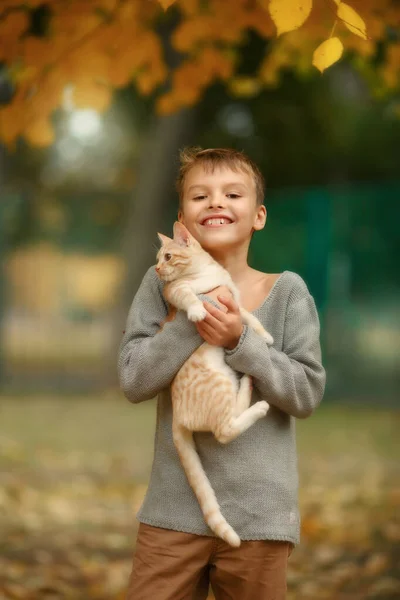  Sonbahar arka planında kızıl kedili bir çocuk.