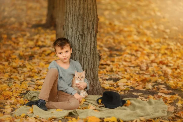 Chlapec s červenou kočkou ty podzimní zahrada pozadí v blízkosti stromu. — Stock fotografie