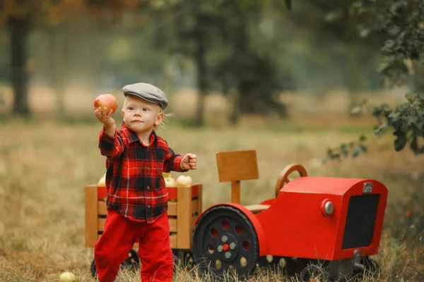 농장에서 사과를 따는 빨간 셔츠를 입은 어린이 — 스톡 사진