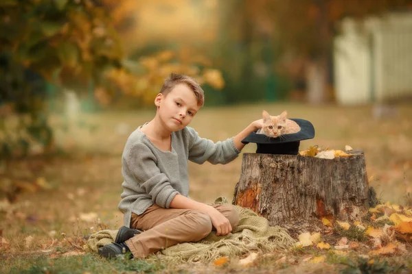 秋の庭に赤い猫の男の子背景 — ストック写真