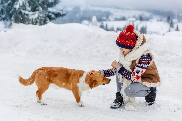 Pojke och ingefära hundar på vintern snöig dag. — Stockfoto