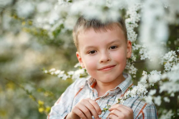 소년은 꽃피는 나무 근처에 있어요 — 스톡 사진