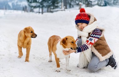 Oğlan ve kızıl köpekler kışın karlı bir günde. 