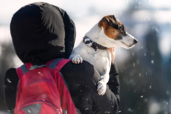 披着头巾外套 背着粉色背包的女人 带着狗在山里呆着 冬季阳光普照的风景旅行和自由概念缓慢 — 图库照片