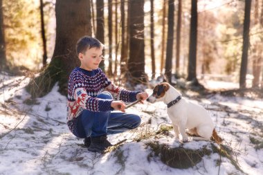 Ormanda köpekli çocuk Jack Russell Terrier
