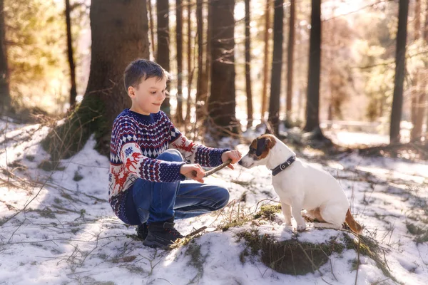 Garçon avec chien Jack Russell Terrier dans la forêt — Photo