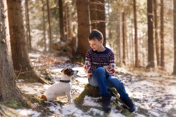 Ragazzo con cane Jack Russell Terrier nella foresta — Foto Stock
