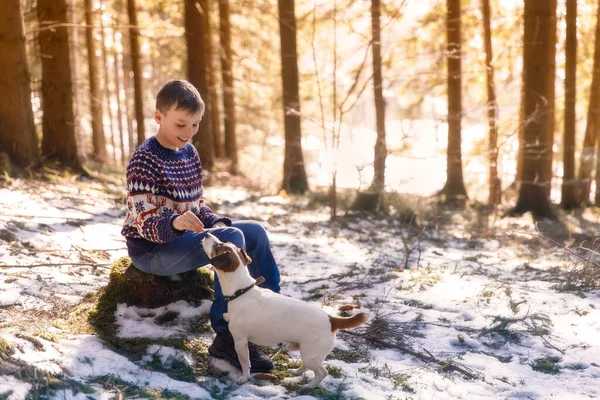在森林里和狗在一起的男孩Jack Russell Terrier — 图库照片