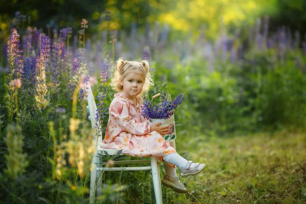 Retrato Uma Linda Garota Loira Com Buquês Lupins Balde Sentado — Fotografia de Stock