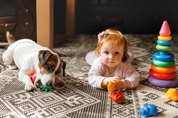 Baby Hond Spelen Met Speelgoed Rood Haar Kind Ligt Met — Stockfoto