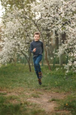 Gri kazaklı ve kot pantolonlu yakışıklı çocuk kiraz bahçesine atlıyor. Baharda dışarıda sevimli bir çocuk..