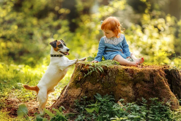 Baby Red Hair Girl Blue Dress Sitting Big Tree Stump — Foto Stock