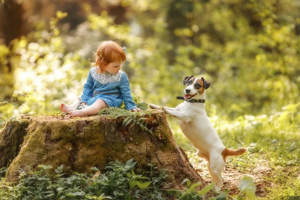 Baby Red Hair Girl Blue Dress Sitting Big Tree Stump — Foto Stock