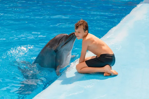 Kid and dolphin communication. Dolphin assisted therapy for boy, who is sitting and dolphin is kissing him