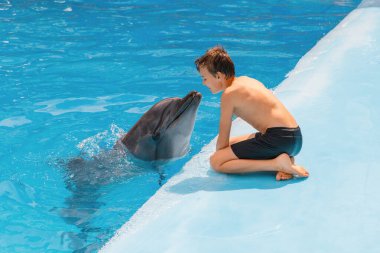 Çocuk ve yunus iletişimi. Oturan ve yunus onu öpen çocuk için yunus destekli terapi.