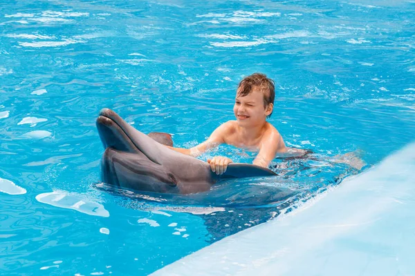 Kid and dolphin communication. Dolphins assisted therapy for boy, boy is swimming with dolphins in blue swimming pool