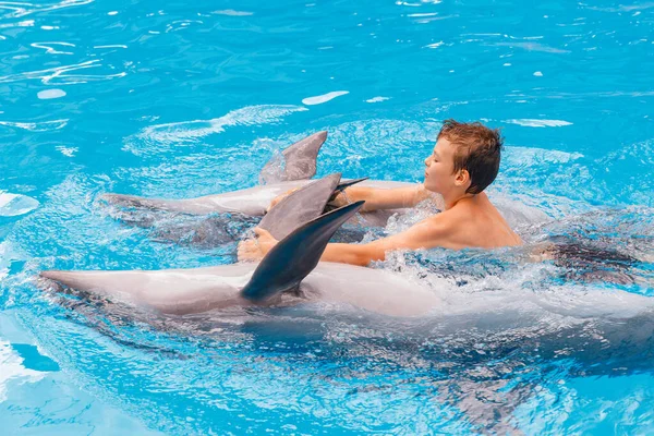 Kid and dolphin communication. Dolphins assisted therapy for boy, boy is swimming with dolphins in blue swimming pool
