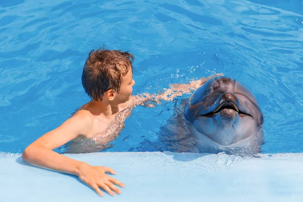 Havuzda bir erkek ve yunus portresi. Çocuk ve yunus iletişimi. 