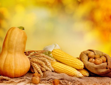 Pumpkin, walnut, spikelets, and corn on harvest table with autumn background - Thanksgiving 