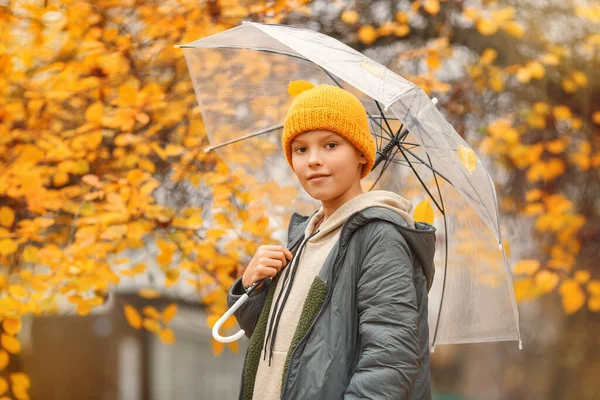  Sonbahar günü şeffaf şemsiyeli bir çocuk. Sarı şapkalı çocuk gülümsüyor. Oğlanın arkasında muhteşem sarı ağaç. Portreyi kapat.